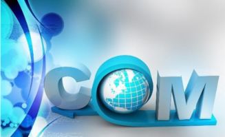 引爆新品牌 快速有效的品牌運(yùn)營與營銷策劃實(shí)戰(zhàn)指南